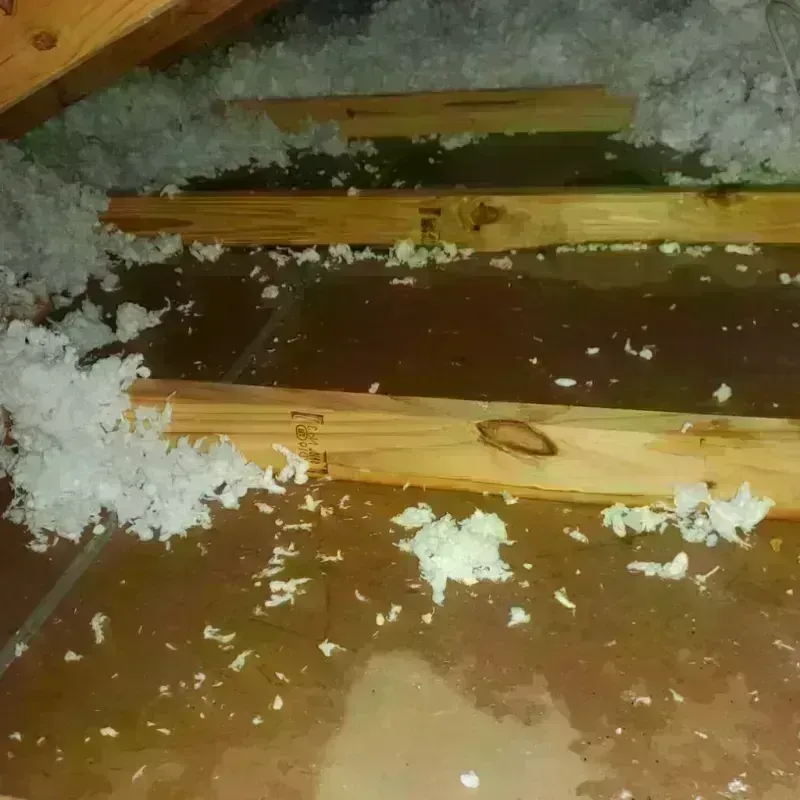 Attic Water Damage in Guntown, MS